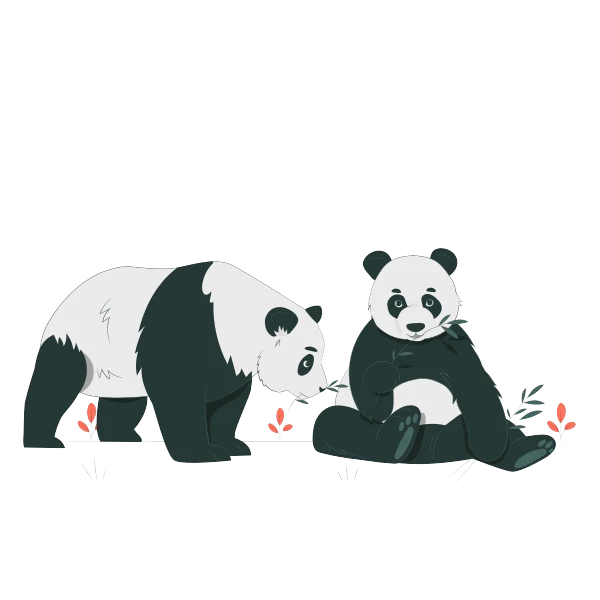 Hai chú gấu trúc minh hoạ thuật toán Google Panda