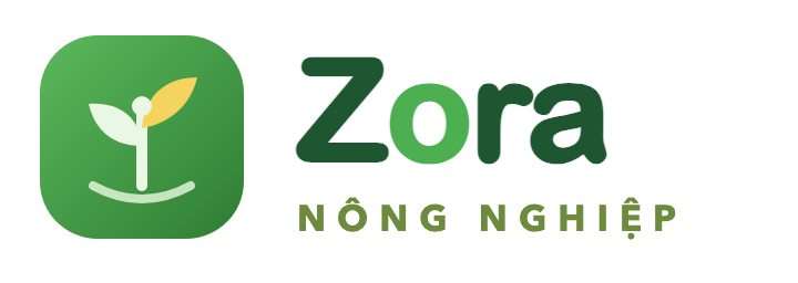 Zora