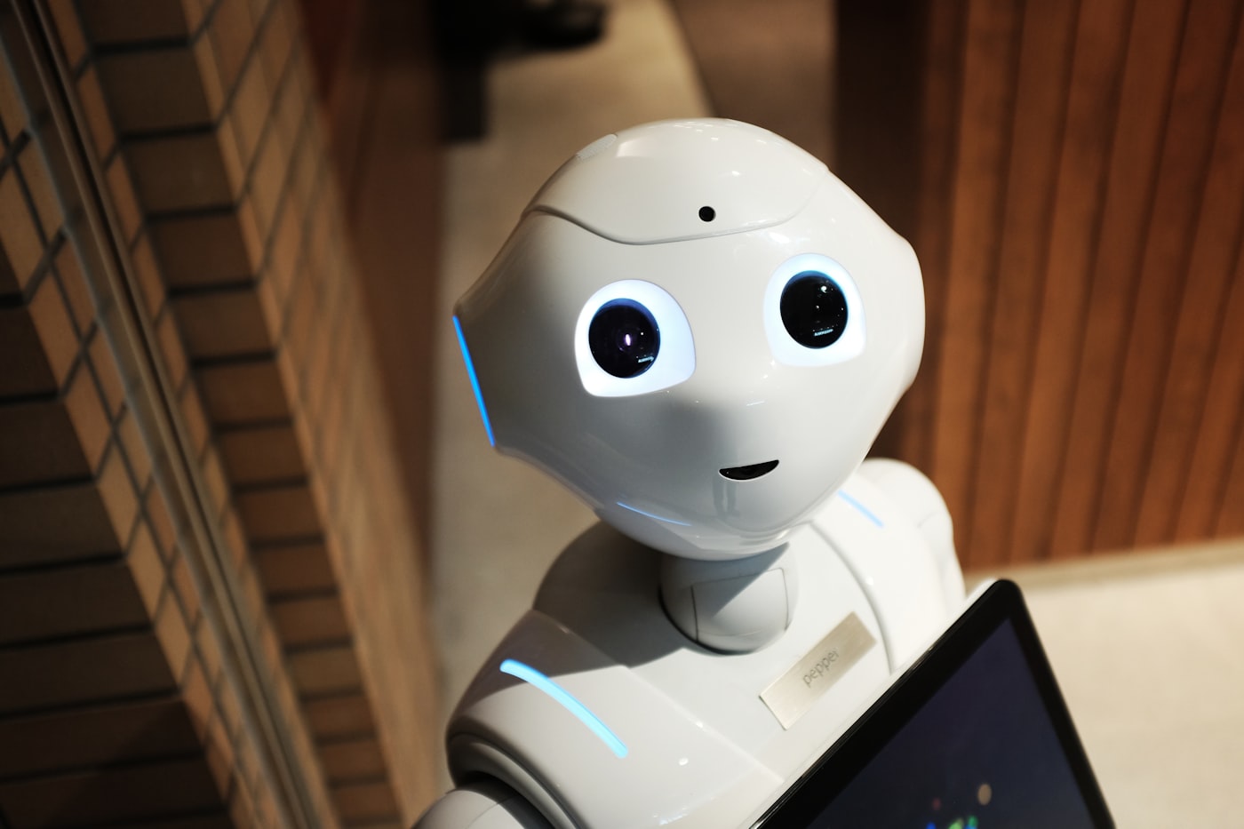 Quá trình huấn luyện chatbot AI theo dữ liệu thật